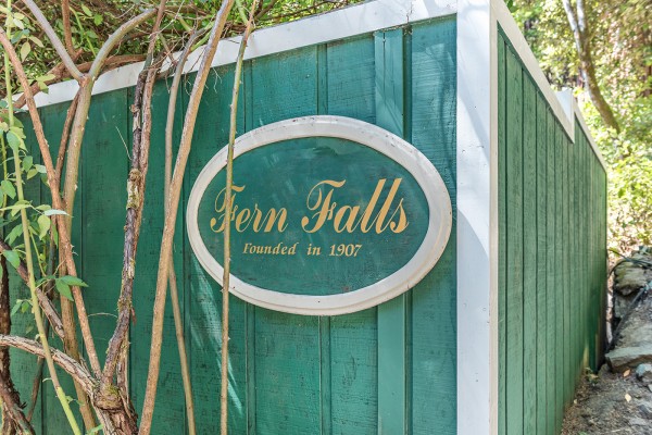 Fern Falls 5