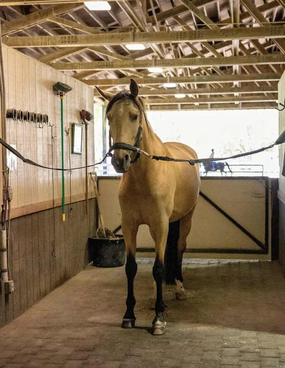 Petaluma equestrian estate just listed for $7,750,000